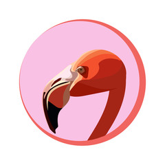 The head of a flamingo bird on a pink circle background. For icons, a sticker and banners.Vector illustration.