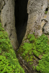 The Wonderful Bridges, Rock Bridges (Old: Erkyupria) are a rock phenomenon located in the karst valley of the Erkyupria River in the Western Rhodopes at 1450 m above sea level.