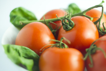 Tomatoes in a white plate and background