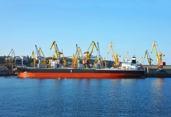 Bulk cargo ship under port crane
