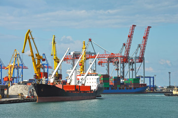 Bulk cargo ship under port crane