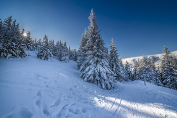 Fototapeta na wymiar Beautiful landscape of winter Karkonosze mountains, Panorama