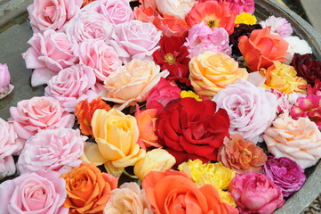 Red, rose, yellow and orange Rose decoration 