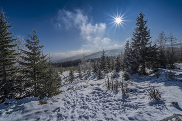 Beautiful landscape of winter Karkonosze mountains, Panorama