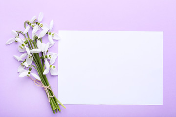 Bouquet of snowdrop flowers with blank sheet of paper on purple background