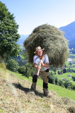 Bergbauer mit Heugabel auf R&uuml;cken Schulter Alm