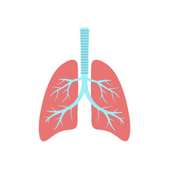 Lungs. Vector.