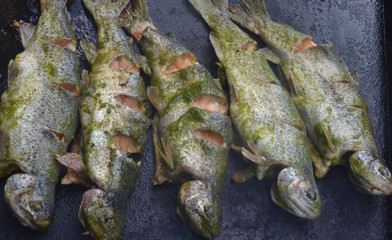 Fresh river trout on a grill in the Peruvian village of Ingenio, near Huancayo in the Peruvian Andes
