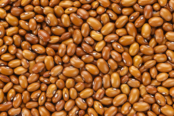 beans are scattered as a background