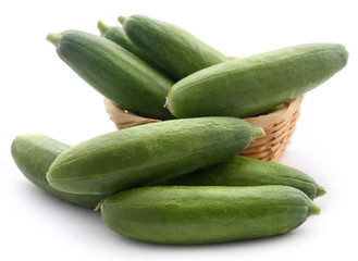 Snack cucumber