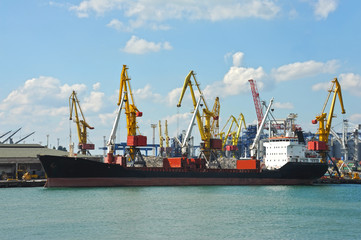 Fototapeta premium Masowy statek towarowy pod dźwigiem portowym