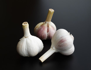 heads of garlic over black