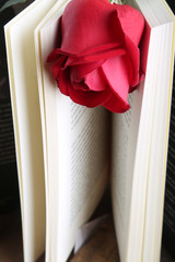 sant Jordi