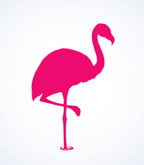 Flamingo. Vector drawing