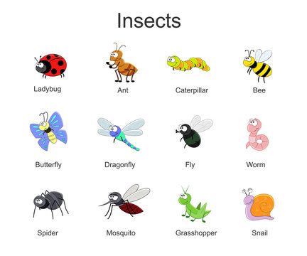 Big set with cute cartoon insects. Vector insects illustration i