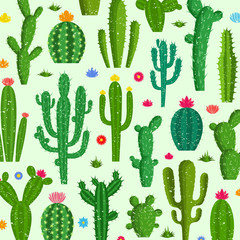 Vector cactus  pattern