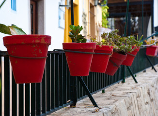 Abstract card with many red flower pots