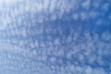 White fluffy small clouds on the light-blue sky