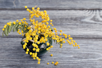 Yellow flowers of a mimosa in a ceramic vase on a wooden table a background