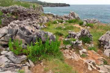 Fototapeta na wymiar Rocks on the ocean coast in summer cloudy day.