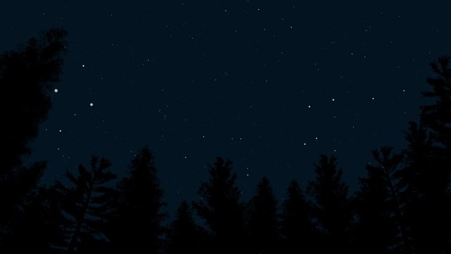 Animation of the night starry sky and black silhouettes of trees
