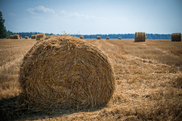 Stack of hay on field