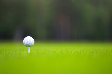 Golf ball on tee