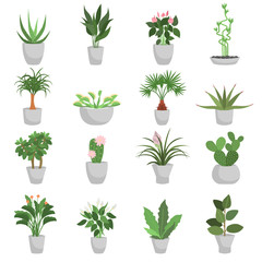 Different green homeplants color flat icons set