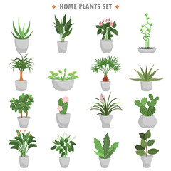 Fototapeta na wymiar Different green homeplants color flat icons set