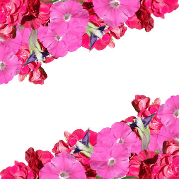 Beautiful floral background of petunias and pelargoniums 