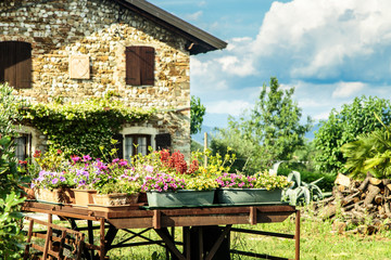 Fototapeta na wymiar Ancient farm with flowers