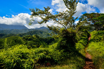 Kauai island