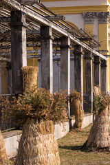 pergola © Krzysztof Stasiak