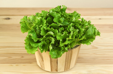 Leaves of lettuce in a wooden pot.