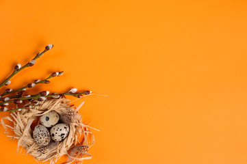 Quail eggs in a straw nest on the orange background