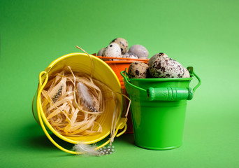 Small decorative buckets filled quail eggs on the green background