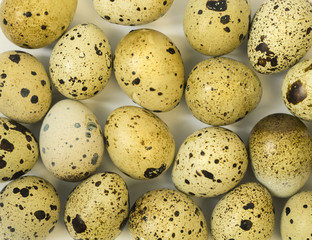 Obraz premium The background of quail eggs. Close up.