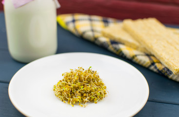 Food sprouts, sprouted grains of clover on a white plate.