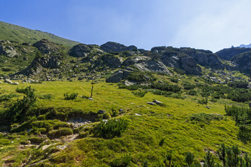 Fototapeta premium Landscape of Begovitsa River Valley, Pirin Mountain, Bulgaria