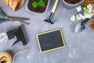 Garden tools and pots on a gray concrete background. Chalk board. Top view, copy space.