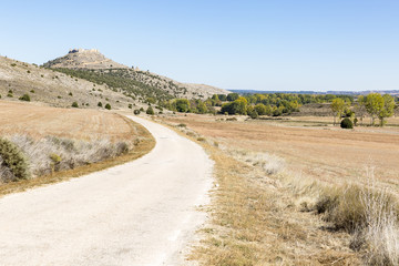 landscape with a country road and a view of the castle in Gormaz, province of Soria, Spain