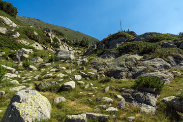 Fototapeta premium Landscape of Begovitsa River Valley and Yalovarnika peak, Pirin Mountain, Bulgaria