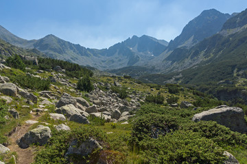Fototapeta premium Landscape of Begovitsa River Valley and Yalovarnika peak, Pirin Mountain, Bulgaria