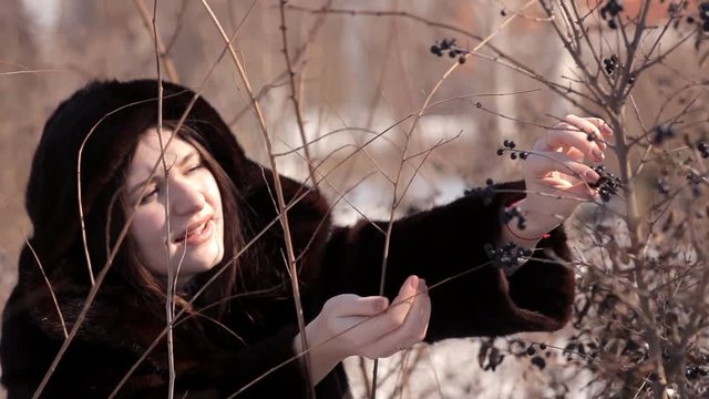 Cute girl on a snowy meadow rips winter berries from a Bush