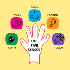 The Five Senses © Handini_Atmodiwiryo