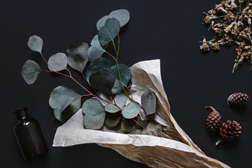 Eucalyptus leaf with dry flower flat lay on black background 