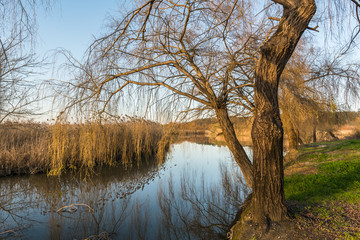 Pateira de Fermentelos