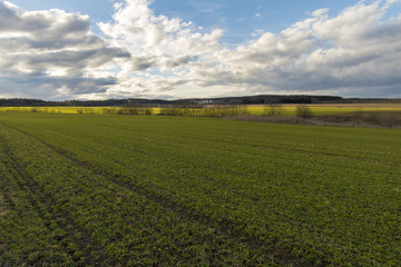Fototapeta na wymiar Spring grassy field at countryside in the Czech Republic.
