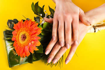 Young girl hands with beige color nails on Gerbera flower and yellow background. Close up. Selective focus.