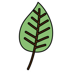 leafs plant ecology icon vector illustration design